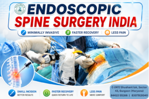 Endoscopic Spine Surgery India